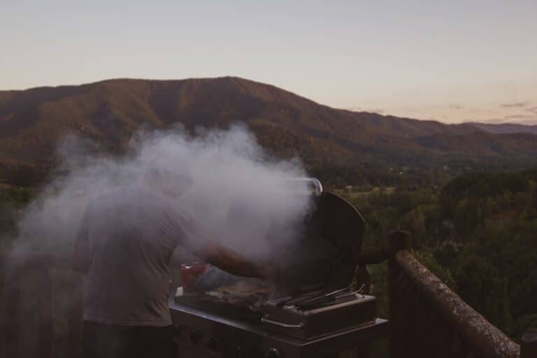 National BBQ Day pitmaster grilling beside brown fence in the backyard