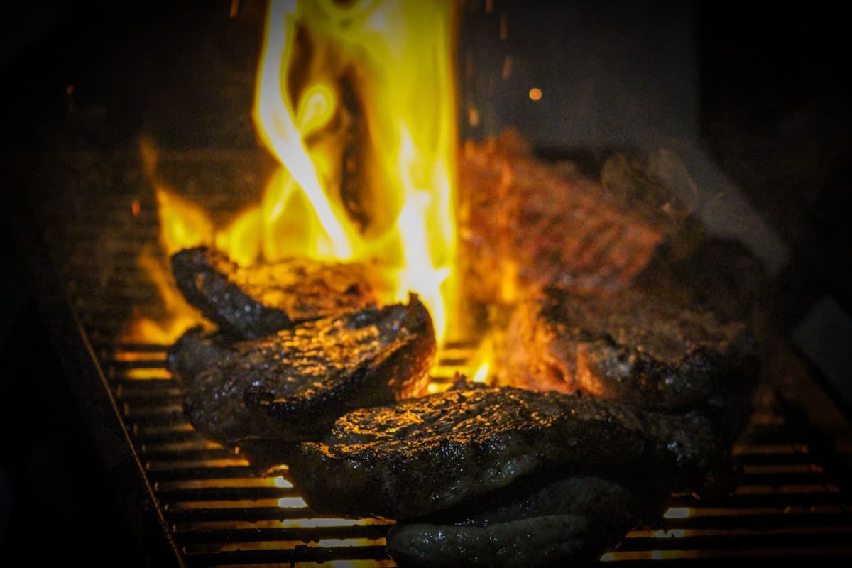 National BBQ Day cookout — steaks cooking over open flames