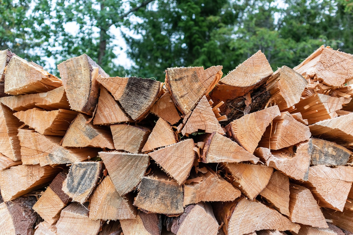 Smoking woods — brown firewood lot stacked for seasoning