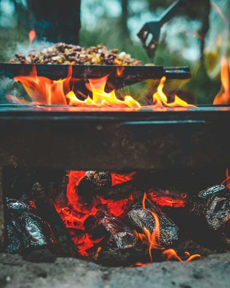 Live-fire grill cooking over open flames in the Santa Maria style, the format Weber is bringing to retail in 2027