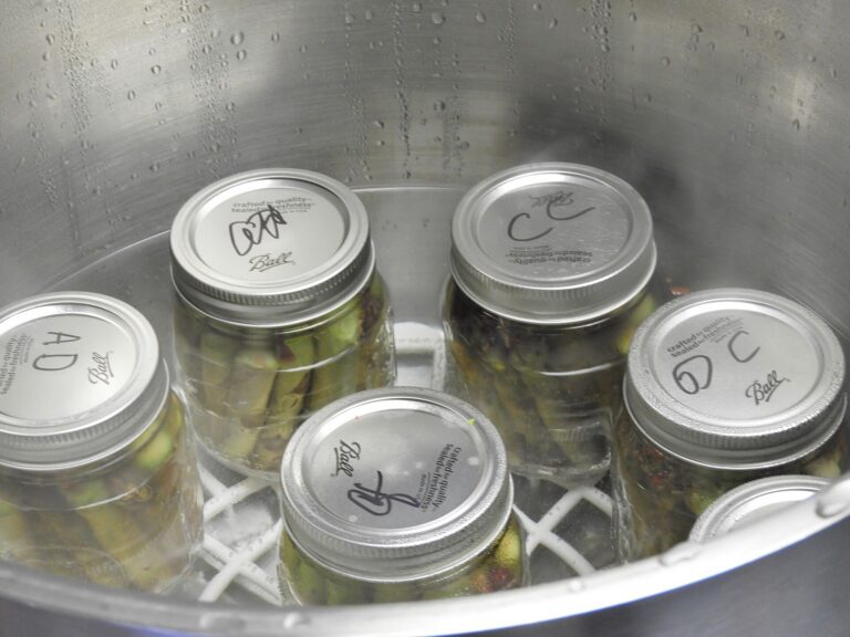 Glass mason jars with metal lids in a frosty freezer, condensation on the metal walls behind them.