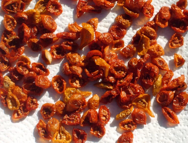 Sun-dried tomatoes for BBQ rubs and sauces