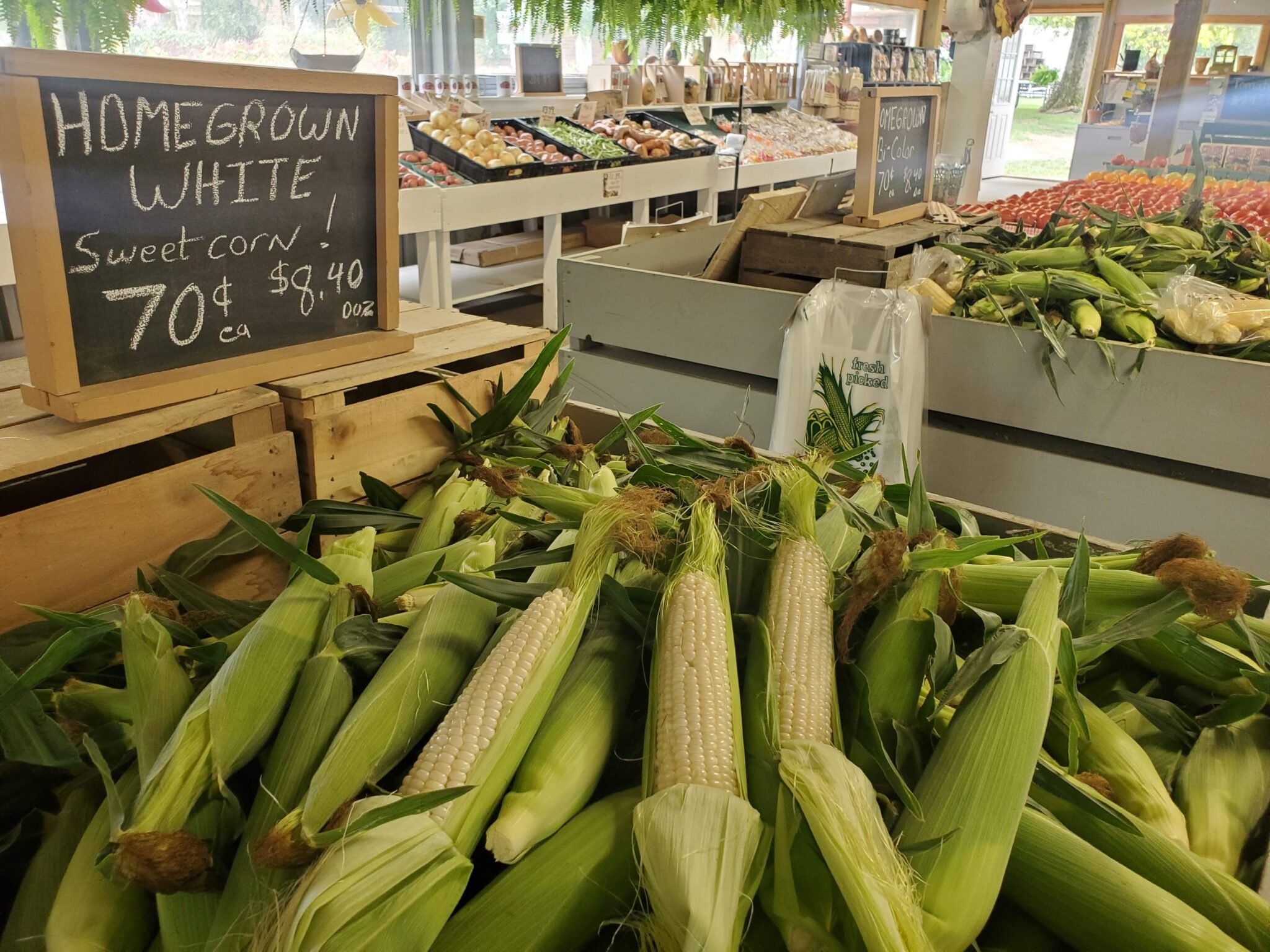 Shopping for corn at the farmers market image courtesy of Browns family Farm market - Popular BBQ Shopping for corn at the farmers market image courtesy of Browns family Farm market